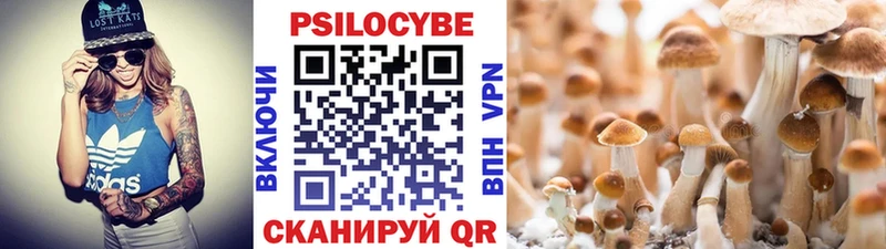 Галлюциногенные грибы ЛСД omg Черняховск купить закладку